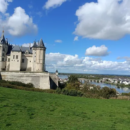 De Charme Bord De Loire 아파트 *