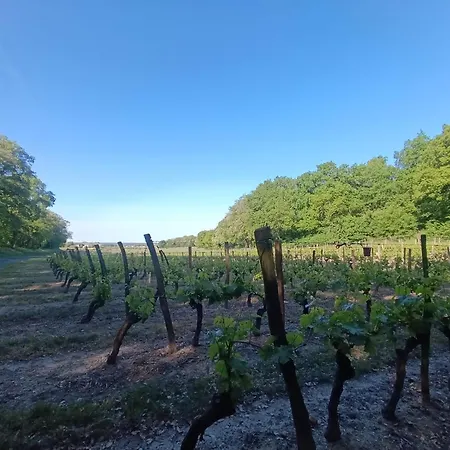 De Charme Bord De Loire *